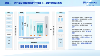 中电金信杜啸争:源启数据资产管理平台助力金融机构加速数据资产化过程